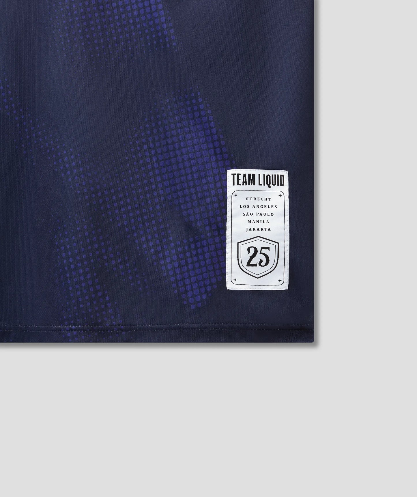 2025 TEAM LIQUID ALIENWARE OFFICIAL JERSEY - Team Liquid