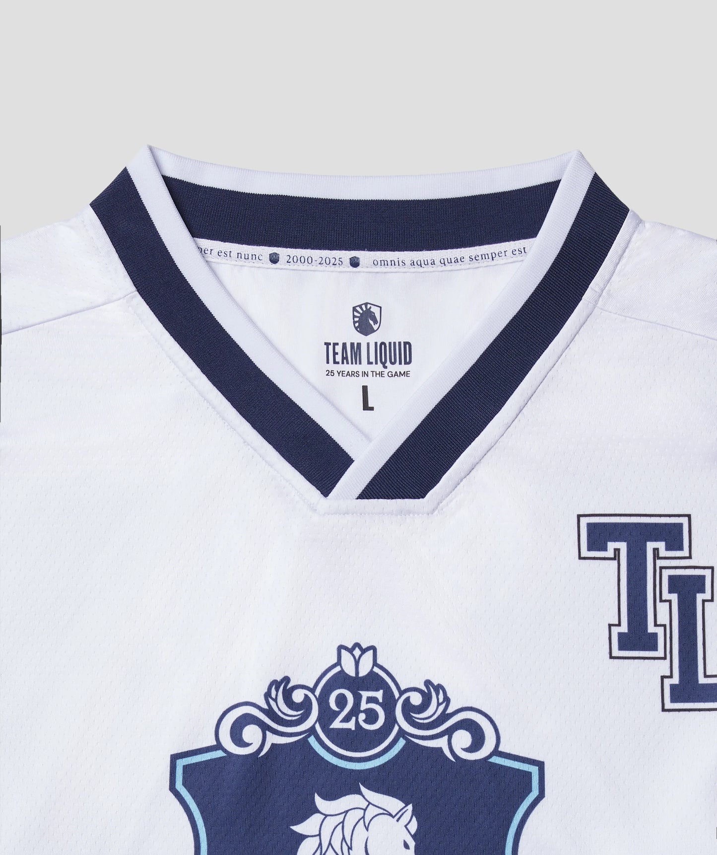 QUARTER CENTURY HOCKEY JERSEY