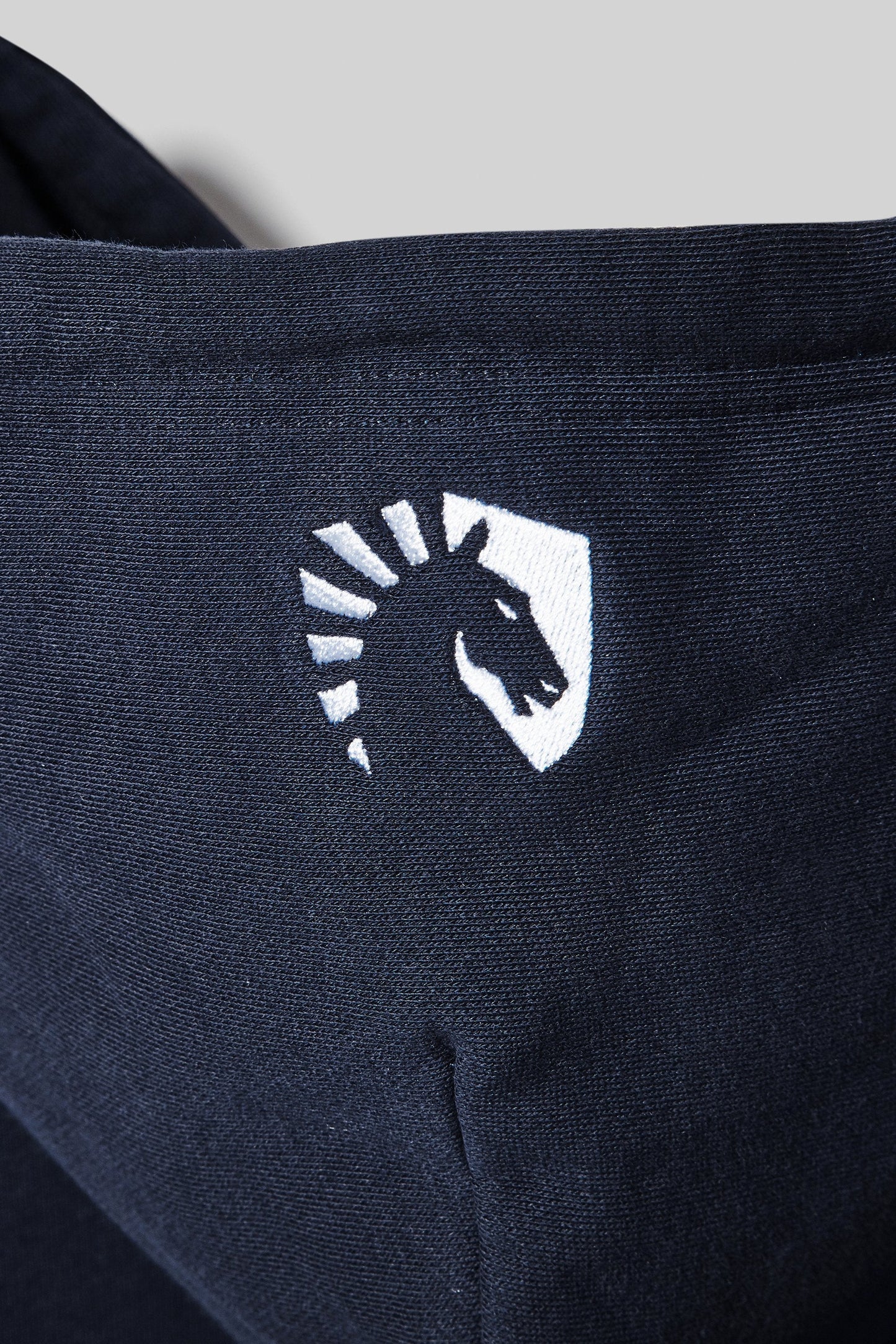 TEAM LIQUID ESTABLISHED HOODIE - NAVY - Team Liquid
