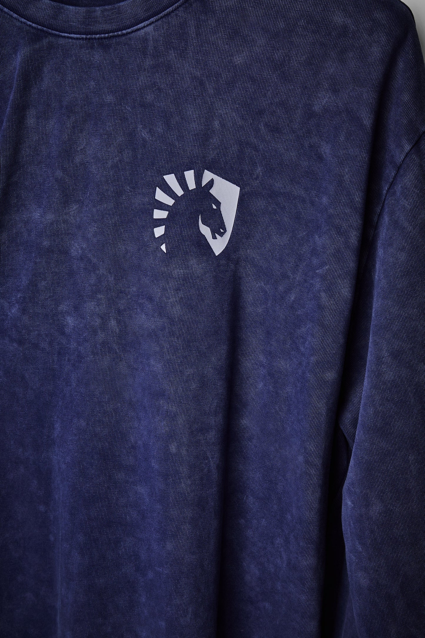 TEAM LIQUID HEAVYWEIGHT LONG SLEEVE TEE - Team Liquid