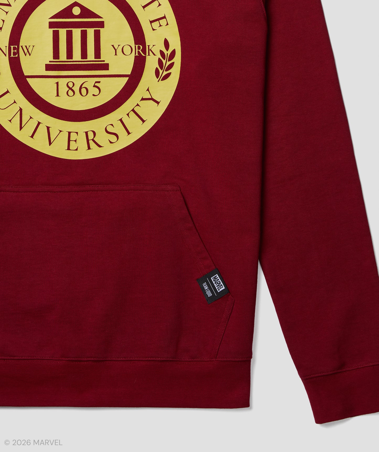 MARVEL RIVALS EMPIRE STATE UNIVERSITY HOODIE - Team Liquid