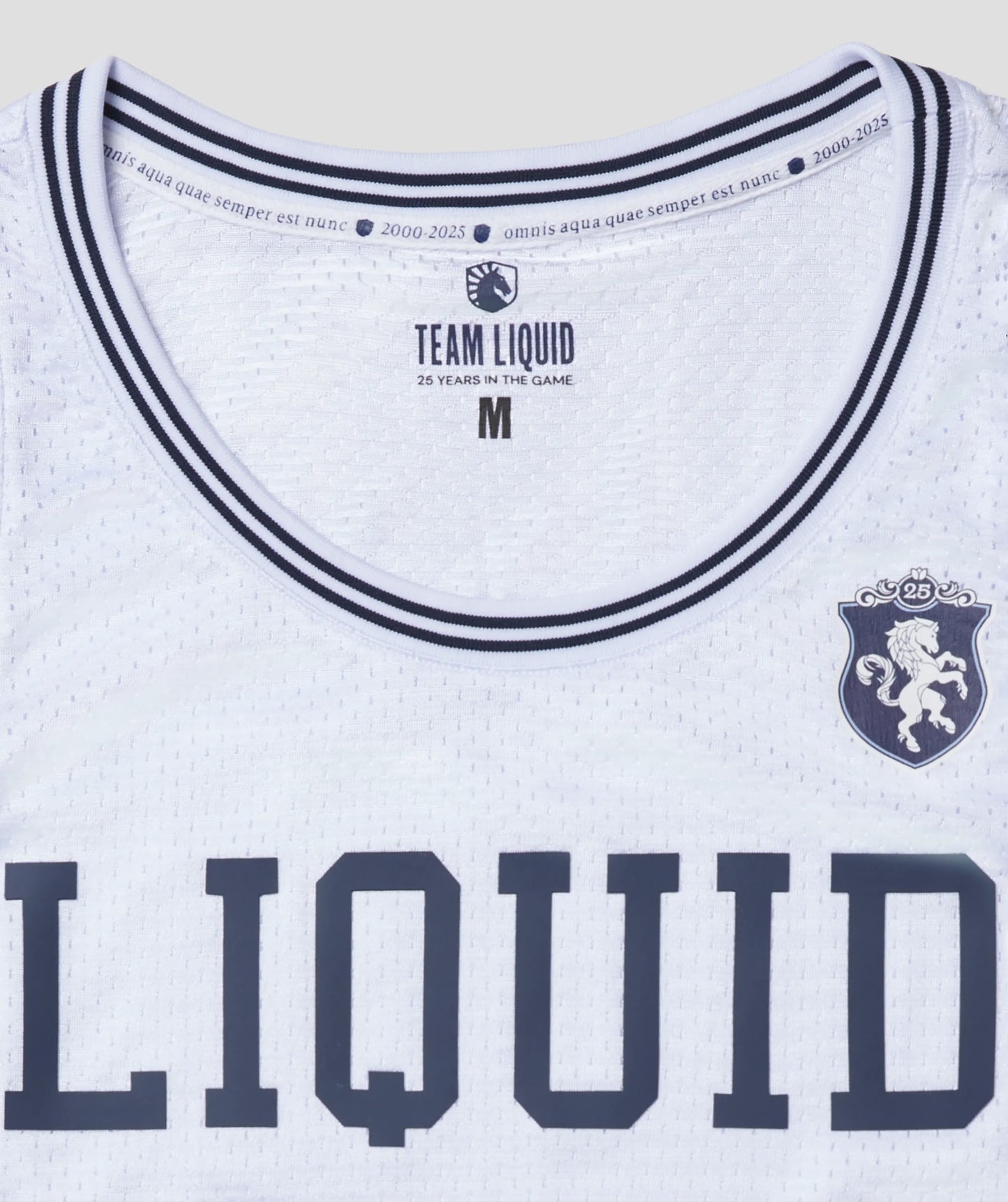 QUARTER CENTURY BASKETBALL JERSEY