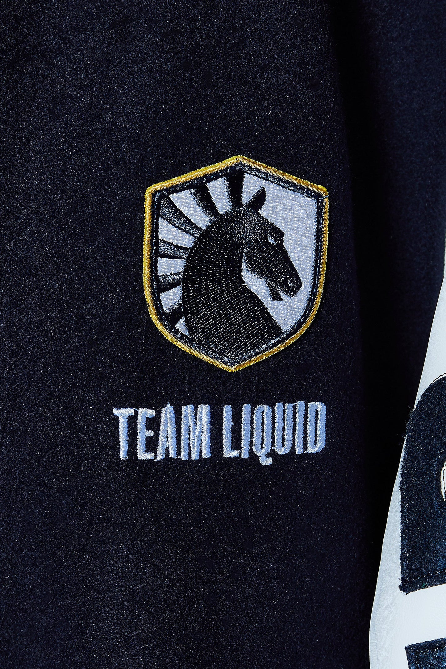 LIQUID+ LETTERMAN JACKET - Team Liquid