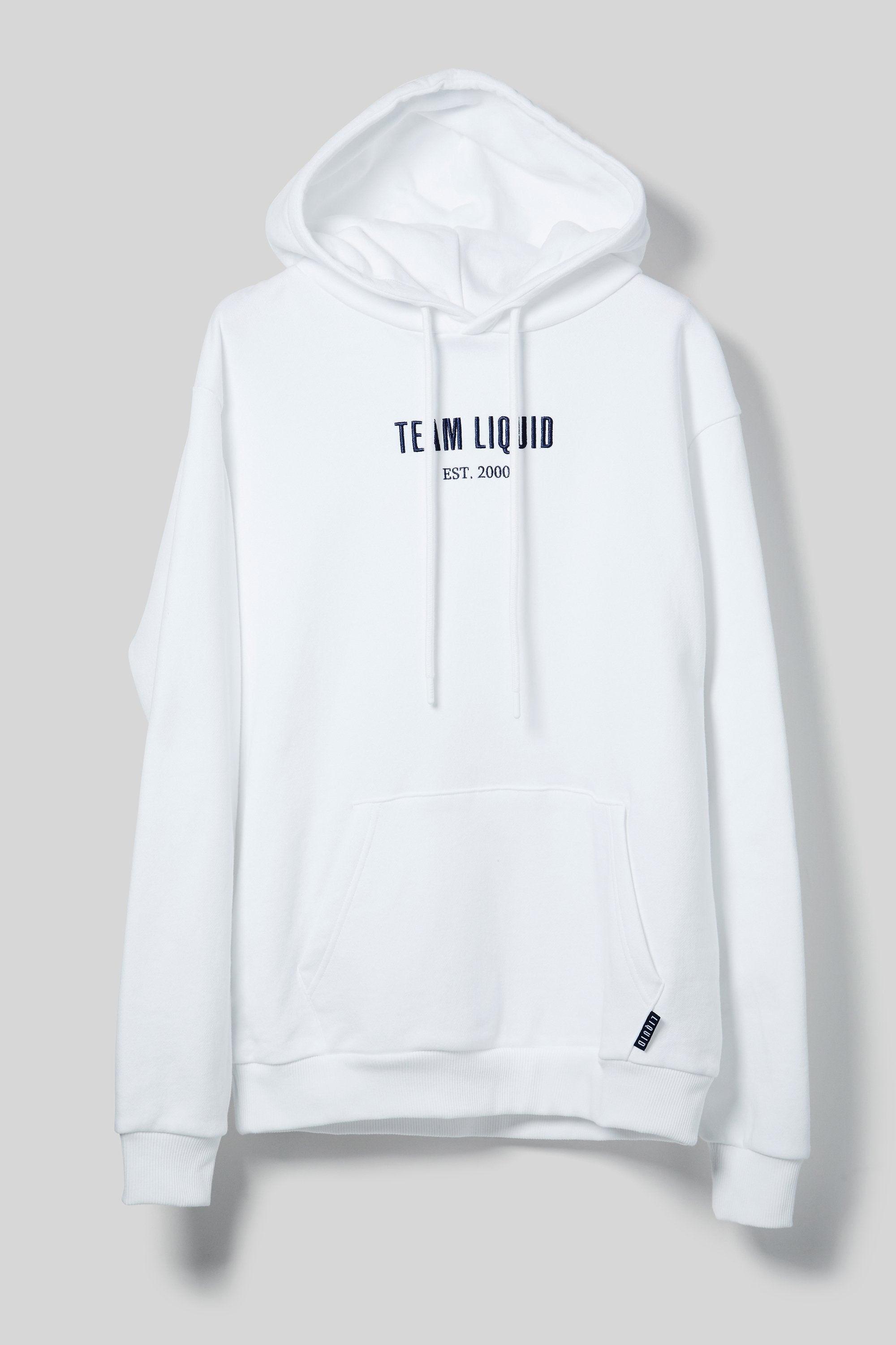 ESTABLISHED HOODIE WHITE XS