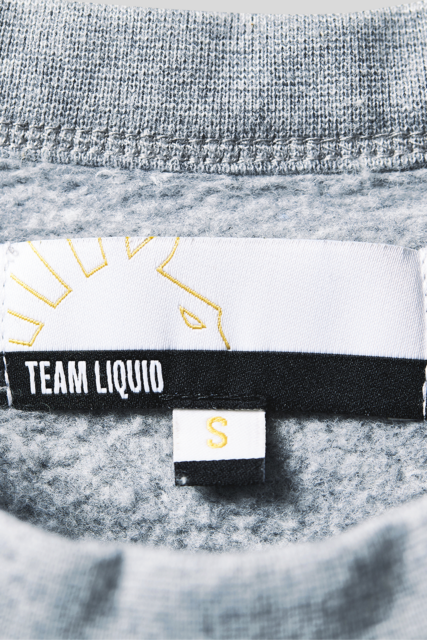 GG ACADEMY SHORT SLEEVE SWEATSHIRT - Team Liquid