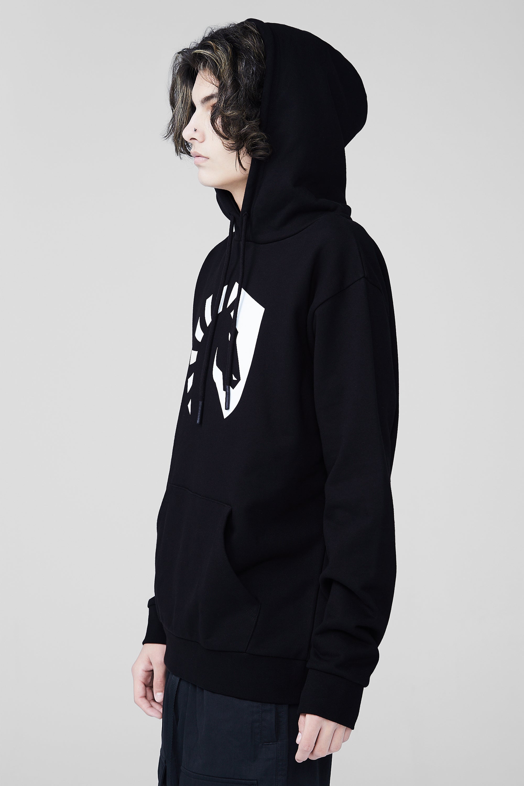 Crest capsule hoodie new arrivals